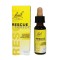 Power Health Dr. Bach Rescue Remedy Ανθοΐαμα σε Σταγόνες για τη Διαχείριση του Άγχους, 10ml