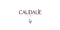 Caudalie