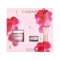 Caudalie Firming Solution Gift Set με Κρέμα Ημέρας για Αντιγήρανση 50ml & ΔΩΡΟ Κρέμα Νύχτας 15ml & Κρέμα Ματιών 5ml