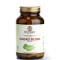 Bio-Tonics Ginkgo Biloba 120mg Συμπλήρωμα Διατροφής για Μνήμη & Συγκέντρωση, 60caps
